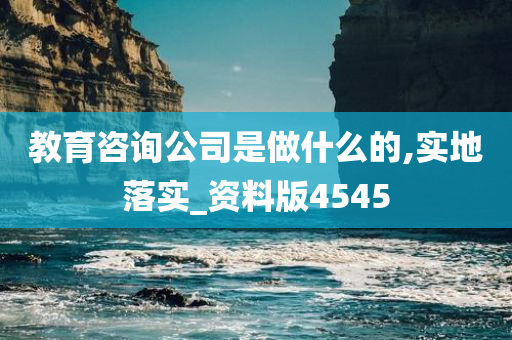 教育咨询公司是做什么的,实地落实_资料版4545