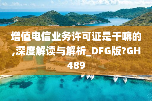 增值电信业务许可证是干嘛的,深度解读与解析_DFG版?GH489