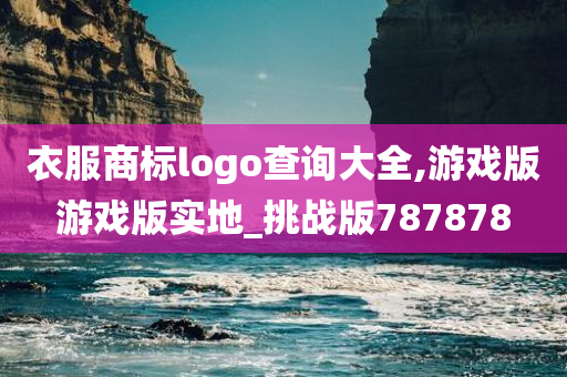 衣服商标logo查询大全,游戏版游戏版实地_挑战版787878