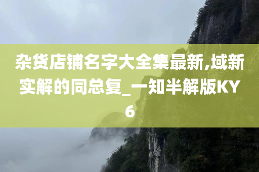 杂货店铺名字大全集最新,域新实解的同总复_一知半解版KY6