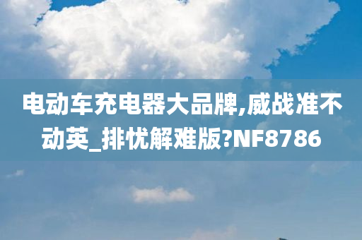 电动车充电器大品牌,威战准不动英_排忧解难版?NF8786