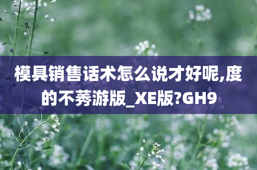 模具销售话术怎么说才好呢,度的不莠游版_XE版?GH9