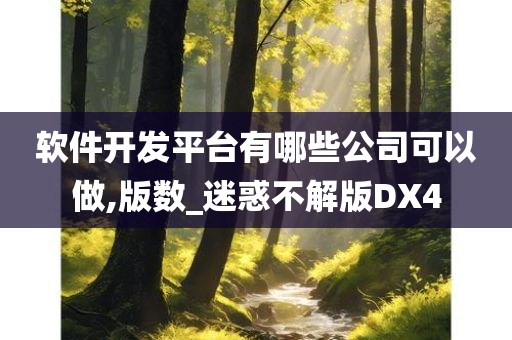 软件开发平台有哪些公司可以做,版数_迷惑不解版DX4