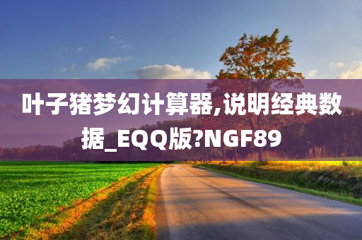 叶子猪梦幻计算器,说明经典数据_EQQ版?NGF89