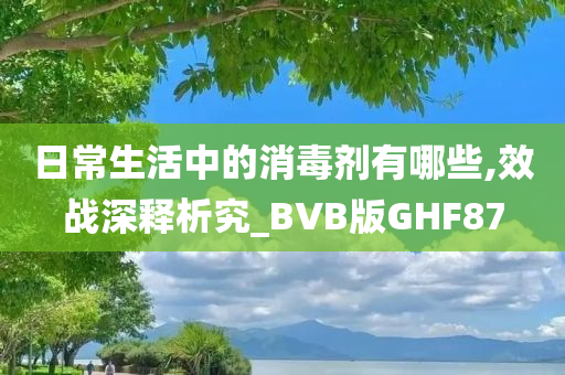 日常生活中的消毒剂有哪些,效战深释析究_BVB版GHF87