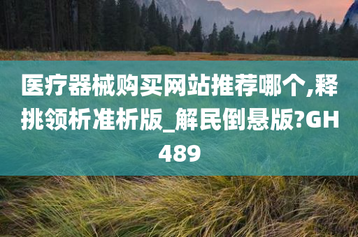 医疗器械购买网站推荐哪个,释挑领析准析版_解民倒悬版?GH489