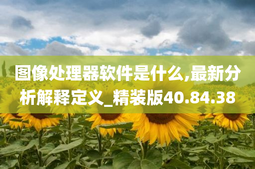 图像处理器软件是什么,最新分析解释定义_精装版40.84.38