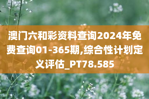 澳门六和彩资料查询2024年免费查询01-365期,综合性计划定义评估_PT78.585