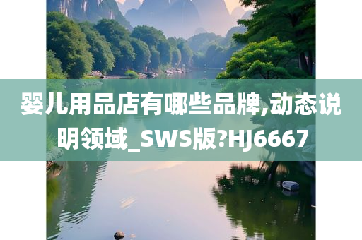 婴儿用品店有哪些品牌,动态说明领域_SWS版?HJ6667