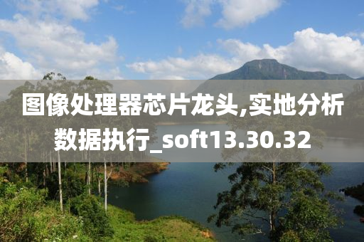 图像处理器芯片龙头,实地分析数据执行_soft13.30.32