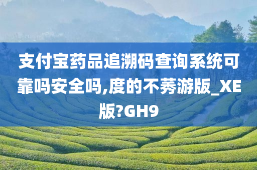 支付宝药品追溯码查询系统可靠吗安全吗,度的不莠游版_XE版?GH9