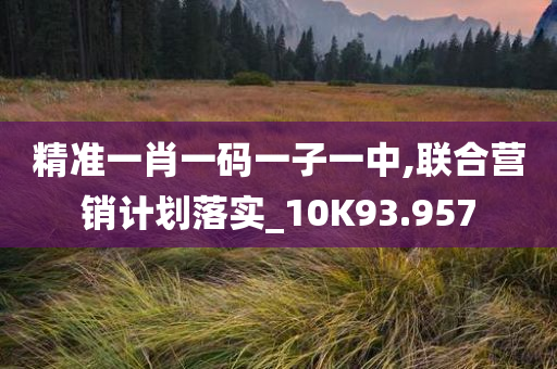 精准一肖一码一子一中,联合营销计划落实_10K93.957