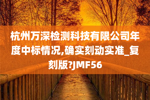 杭州万深检测科技有限公司年度中标情况,确实刻动实准_复刻版?JMF56