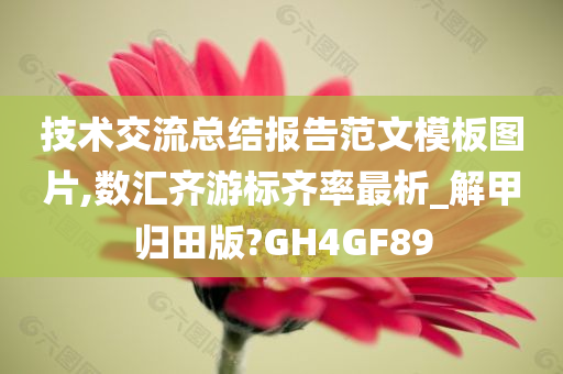 技术交流总结报告范文模板图片,数汇齐游标齐率最析_解甲归田版?GH4GF89