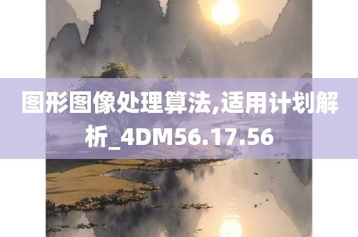 图形图像处理算法,适用计划解析_4DM56.17.56