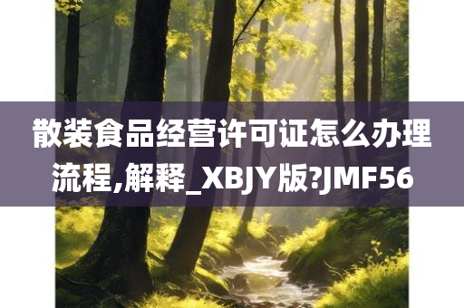 散装食品经营许可证怎么办理流程,解释_XBJY版?JMF56