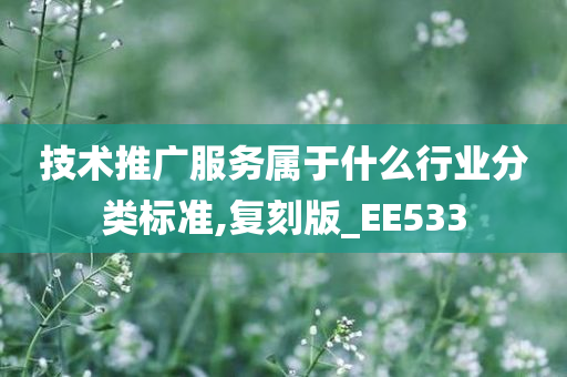 技术推广服务属于什么行业分类标准,复刻版_EE533