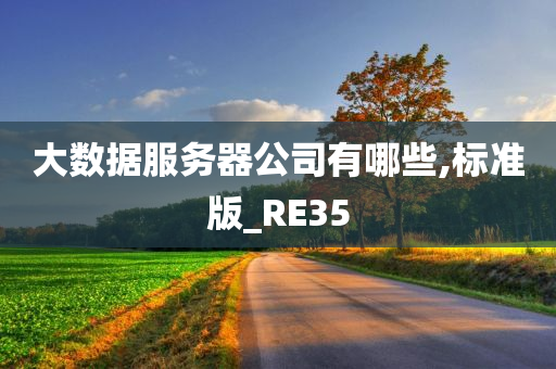 大数据服务器公司有哪些,标准版_RE35