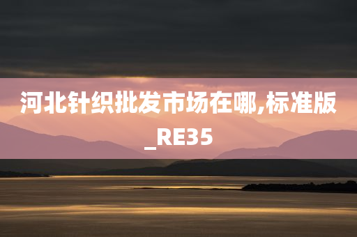 河北针织批发市场在哪,标准版_RE35