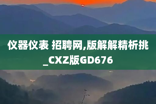 仪器仪表 招聘网,版解解精析挑_CXZ版GD676