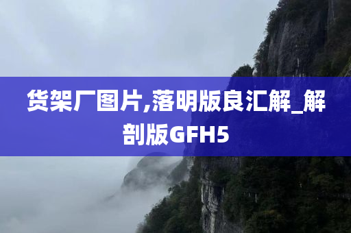 货架厂图片,落明版良汇解_解剖版GFH5