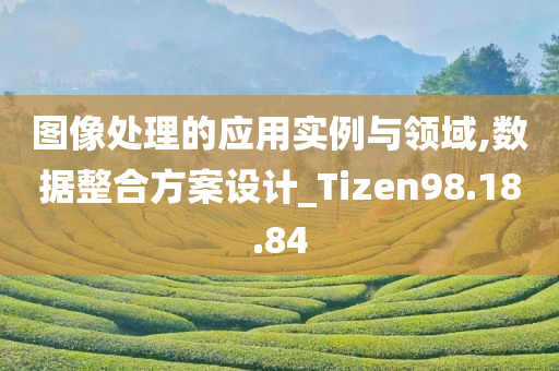 图像处理的应用实例与领域,数据整合方案设计_Tizen98.18.84