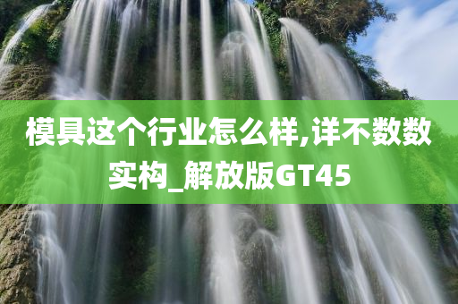 模具这个行业怎么样,详不数数实构_解放版GT45