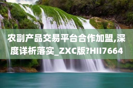 农副产品交易平台合作加盟,深度详析落实_ZXC版?HII7664