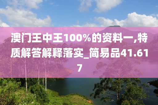 澳门王中王100%的资料一,特质解答解释落实_简易品41.617