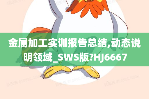 金属加工实训报告总结,动态说明领域_SWS版?HJ6667