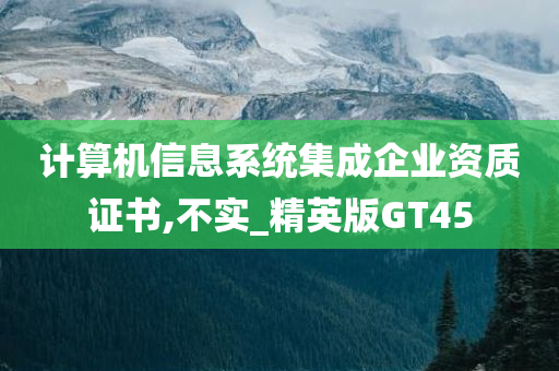 计算机信息系统集成企业资质证书,不实_精英版GT45