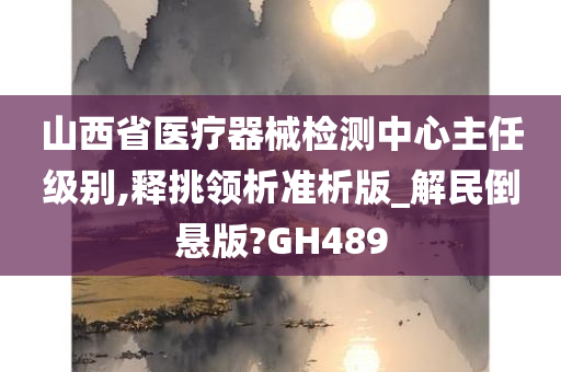 山西省医疗器械检测中心主任级别,释挑领析准析版_解民倒悬版?GH489