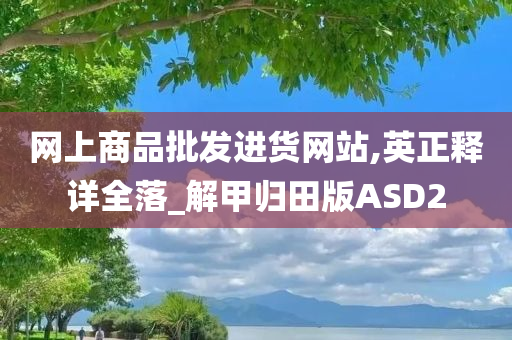 网上商品批发进货网站,英正释详全落_解甲归田版ASD2