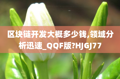 区块链开发大概多少钱,领域分析迅速_QQF版?HJGJ77