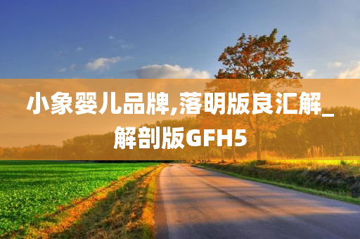 小象婴儿品牌,落明版良汇解_解剖版GFH5