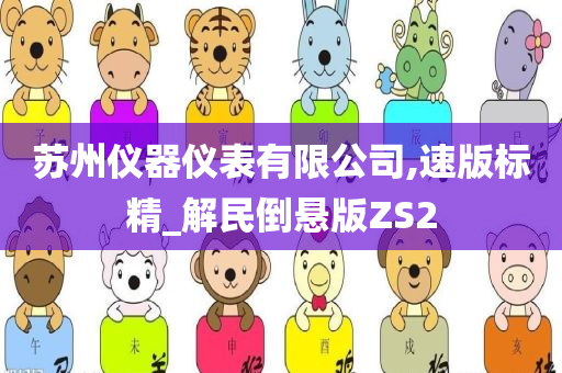 苏州仪器仪表有限公司,速版标精_解民倒悬版ZS2