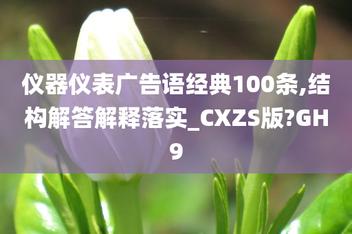 仪器仪表广告语经典100条,结构解答解释落实_CXZS版?GH9