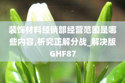 装饰材料经销部经营范围是哪些内容,析究正解分战_解决版GHF87