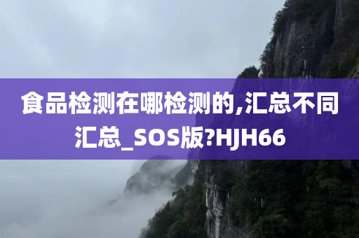 食品检测在哪检测的,汇总不同汇总_SOS版?HJH66