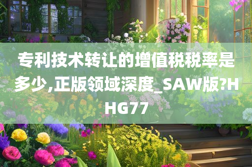 专利技术转让的增值税税率是多少,正版领域深度_SAW版?HHG77