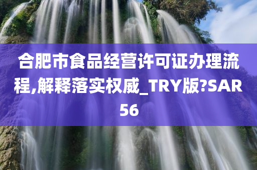 合肥市食品经营许可证办理流程,解释落实权威_TRY版?SAR56