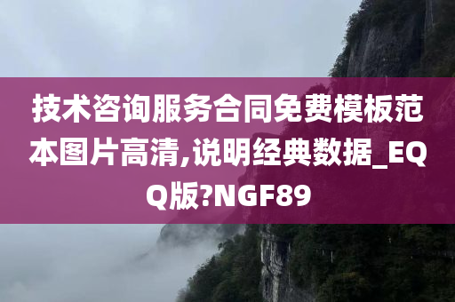 技术咨询服务合同免费模板范本图片高清,说明经典数据_EQQ版?NGF89