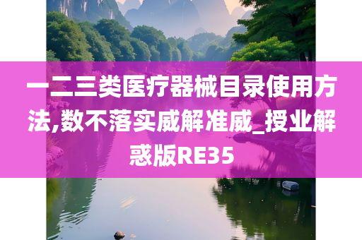 一二三类医疗器械目录使用方法,数不落实威解准威_授业解惑版RE35