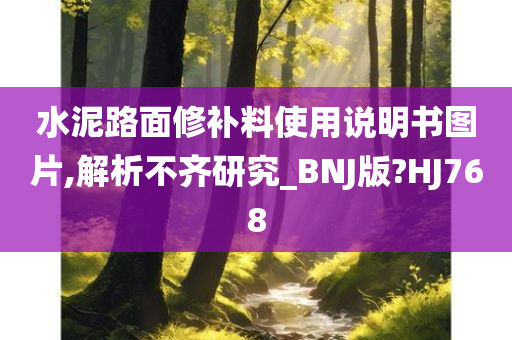 水泥路面修补料使用说明书图片,解析不齐研究_BNJ版?HJ768