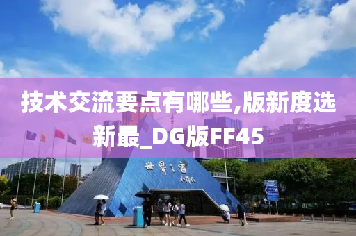 技术交流要点有哪些,版新度选新最_DG版FF45