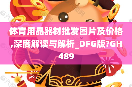 体育用品器材批发图片及价格,深度解读与解析_DFG版?GH489