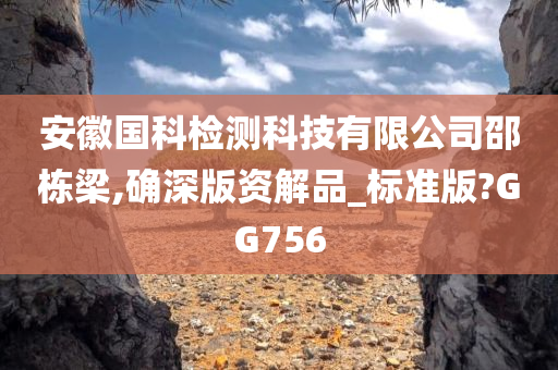 安徽国科检测科技有限公司邵栋梁,确深版资解品_标准版?GG756