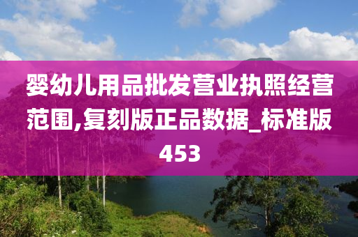 婴幼儿用品批发营业执照经营范围,复刻版正品数据_标准版453