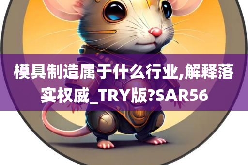 模具制造属于什么行业,解释落实权威_TRY版?SAR56