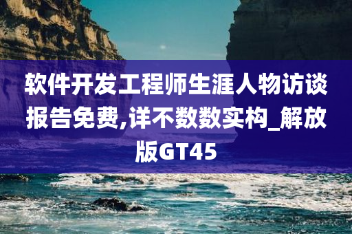 软件开发工程师生涯人物访谈报告免费,详不数数实构_解放版GT45